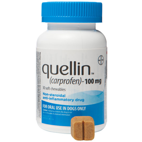 Quellin 100mg Chew 30 Tab By Bayer Pet Rx(Vet)