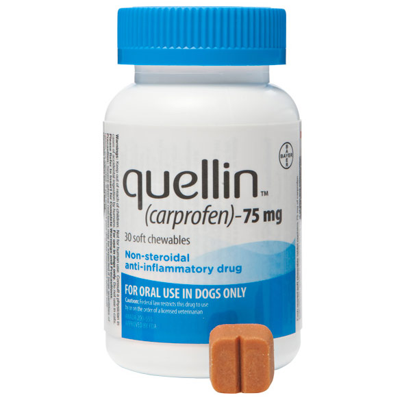 Quellin 75mg Chew 30 Tab By Bayer Pet Rx(Vet)