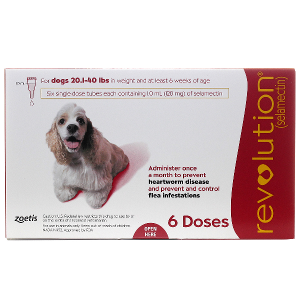 Revolution Dog 20.1-40 6# 6 Dose Sl By Pfizer Pet Rx(Vet)