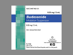 Rx Item-Budesonide 0.25mg 2ml Res 30X2ml by Nephron Pharma Gen Pulmicort