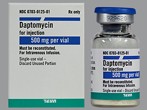 Rx Item-Daptomycin Generic Cubicin 500Mg Vial By Teva Refrigerated