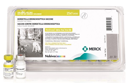 Nobivac Intra-Trac Oral Bb New By Merck Pet OTC(Vet)