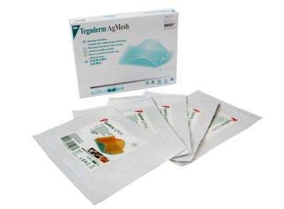 3M Tegaderm Ag Mesh Dressing With Silver Case 90501 By 3M Health C