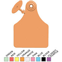 Global Ear Tags With Buttons Blue (101-125) Large P25 By Allflex(Vet)