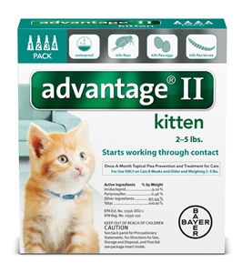 Advantage II - Cats 2-5# Turquoise 