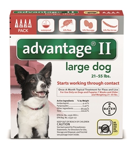 Advantage II - Dog 21 - 55# Red 