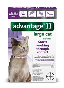 Advantage II - Cats 10-18# Purple 