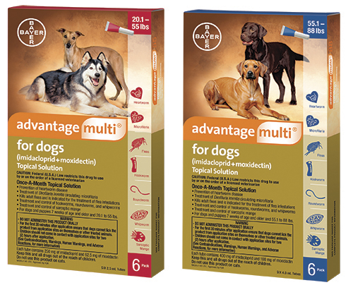 Advantage Multi For Dog Bundle - ludes 2Pk(56-88# Blue) & 4Pk(21-55# Red) 
