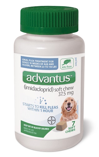Advantus Soft Chew 37.5mg For Large Dogs (22.1-110#)  P7 