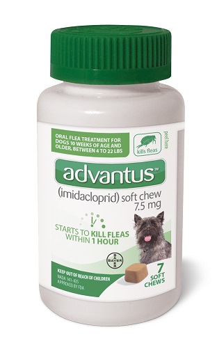 Advantus Soft Chew 7.5mg - Small Dog (4-22#)  P7 By Bayer