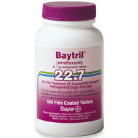 Baytril Purple Tabs 22.7mg B100 By Bayer Direct(Vet)