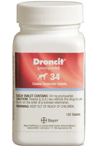 Droncit Canine Tabs 34mg  B50 By Bayer Direct(Vet)