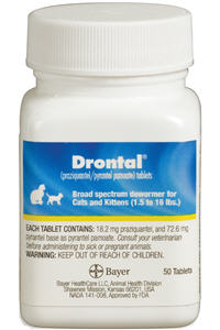 Drontal Cats  B50 By Bayer Direct(Vet)