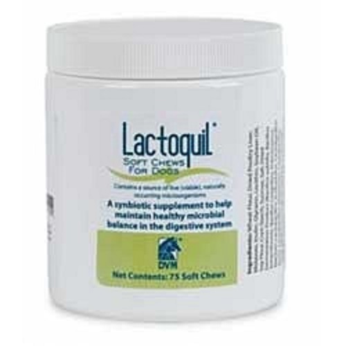 Lactoquil Soft Chews  B75 By Bayer Direct(Vet)