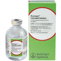 Buscopan Injectable Solution 50cc By Boehringer Ingelheim Vetmedica