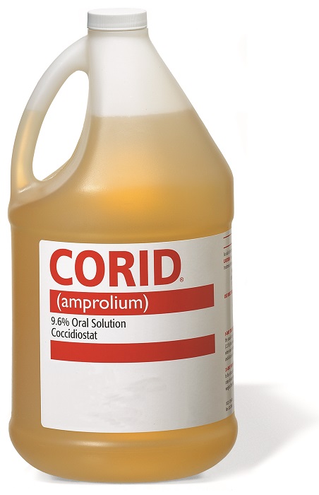 Corid 9.6% Oral Solution Gal Byhuvepharma