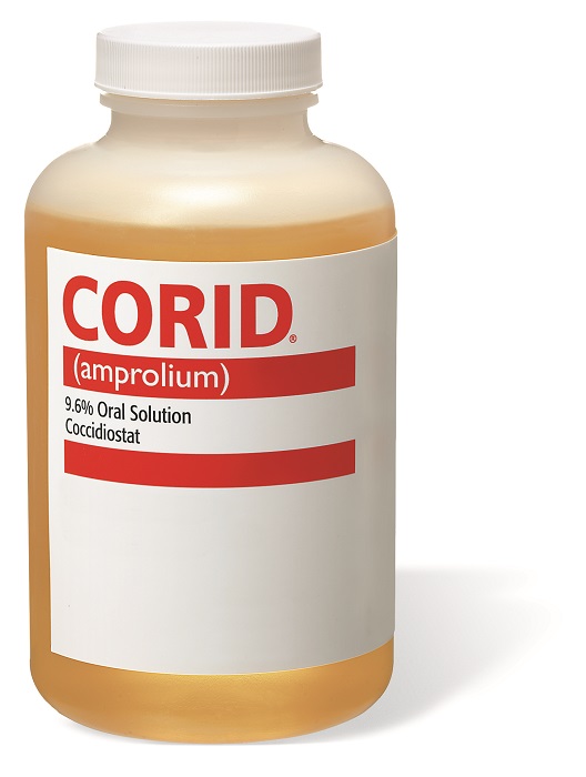 Corid 9.6% Oral Solution 16 oz By Huvepharma 
