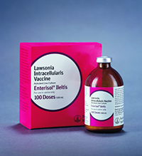 Enterisol Ileitis Ff 250Ds (Fr oz en Product) 250Ds By Boehringer Ingelheim Vet