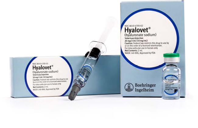 Hyalovet Syringe 10Mg/ml  2cc By Boehringer Ingelheim Vetmedica