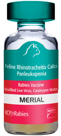 purevax rcp cat vaccine