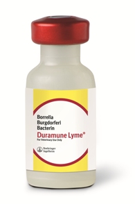 Duramune Lyme B25 By Elanco(Vet)