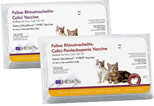 Feline Ultranasal Fvrcp B20 By Elanco(Vet)