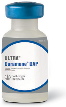Ultra Duramune Dap B25 By Elanco(Vet)