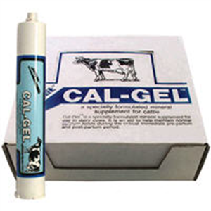 Cal-Gel Cartridge 300cc By Jorgensen(Vet)