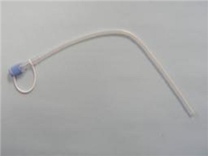 Esophagostomy Small Dog Feeding Tube E Tube Placement