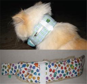 feeding tube collars for cats