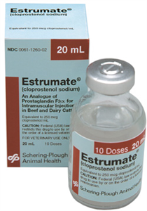 Estrumate Prostaglandin 10-Dose Vial 20cc By Merck Animal Health