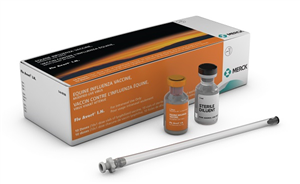 Flu Avert Intranasal 10 X1-Dose B10 By Merck Animal Health