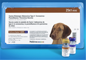 Nobivac Canine 1-Dappv+Cv [25 X1-Dose]� B25 By Merck Animal Health