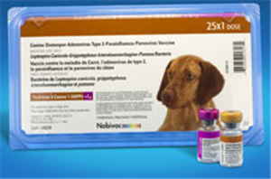 Nobivac Canine 1-Dappv+L4 B25 By Merck Animal Health