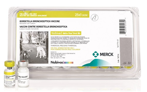 Nobivac Intra-Trac Oral Bb� P25 By Merck Animal Health