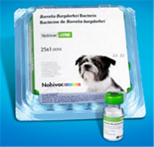 Nobivac Lyme P25 By Merck Animal Health