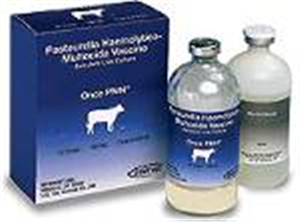 Once Pmh Sq 10Ds By Merck Animal Health