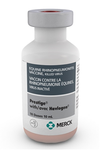 Prestige With Havlogen (Equine Rhinopneumonitis) 10Ds By Merck Animal Health
