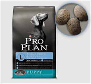 Pro Plan Focus Canine Growth Large Breed 34Lb By Nestle Purina Petcare Company