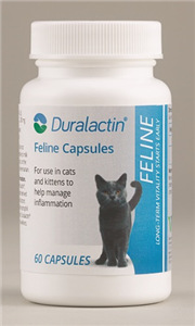 Duralactin Feline Caps (Non-Flavored) B60 By Veterinary Products Labs