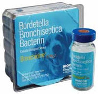 Bronchicine Cae (Bordetella) 50 X1-Dose B50 By Zoetis