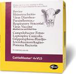 Cattlemaster 4 + Vl5 10Ds By Zoetis