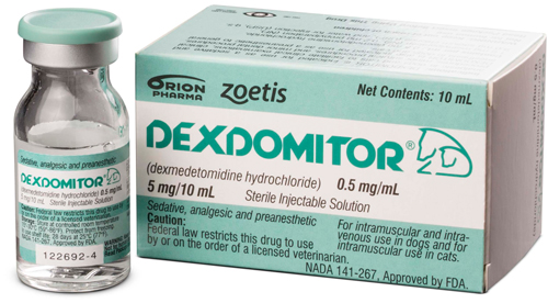 Dexdomitor Inj 0.5Mg/ml 10ml By Zoetis