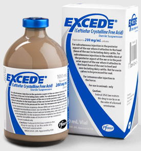 Excede Cattle / Equine Label 200mg 100cc By Zoetis
