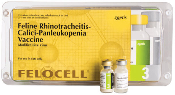 calici panleukopenia