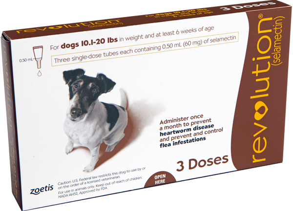 revolution medication for dogs