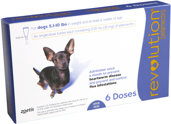 revolution purple for dogs