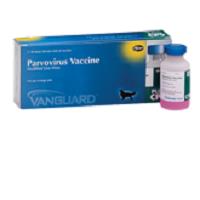 vanguard parvo vaccine