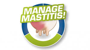 Foam Chamber 3/8in By Mastitis Management Tool