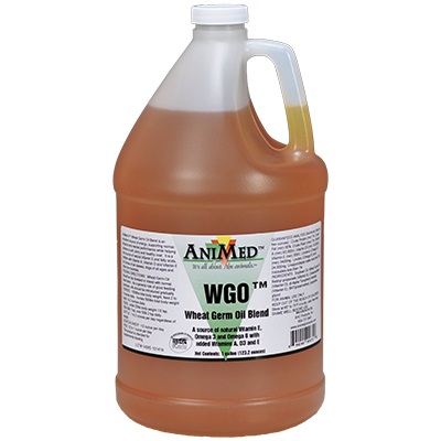 Wheat Germ Oil Blend - Gallon No Secondary Shipments Gal By Animed